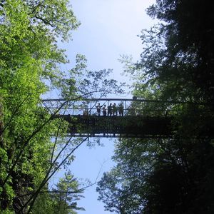 Meet your Posher, Chan